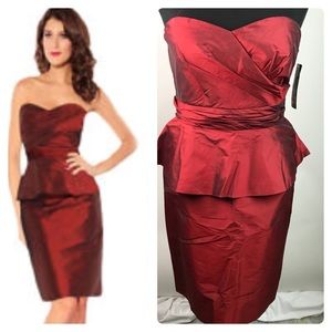 NWT LAUREN RALPH LAUREN DRESS 14 AP35